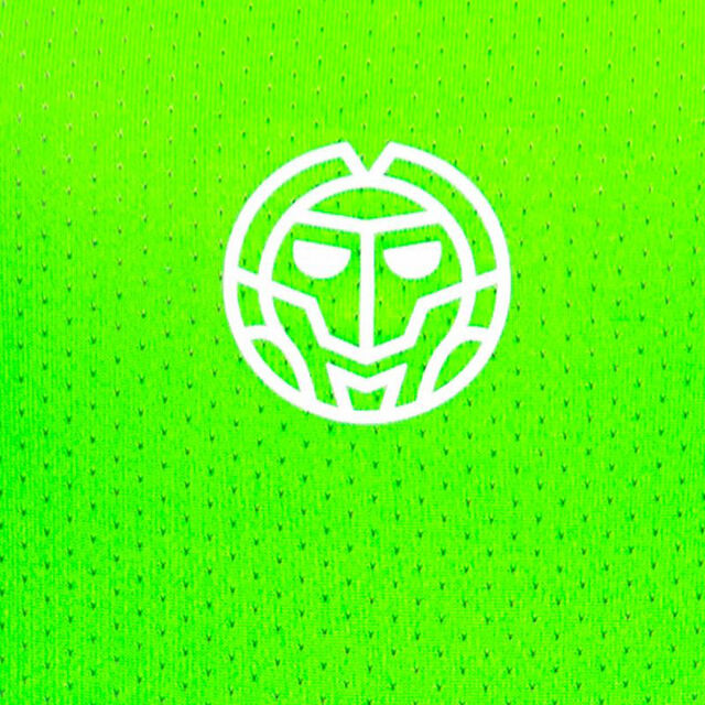 Crew Gradiant Junior Longsleeve - neon green, white