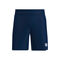 Kaleido 7Inch Shorts